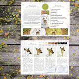Fawn, baby deer, PDF embroidery pattern and thread painting video tutorial